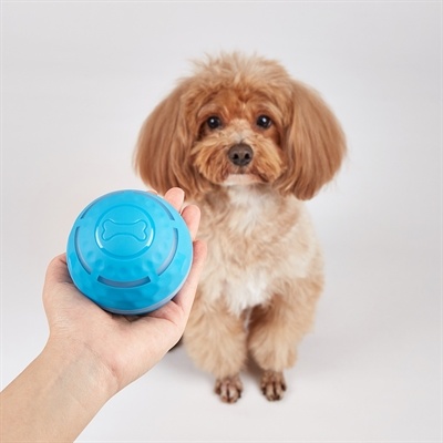 Fofos Fofos rol bal oplaadbaar voor honden Fofos Fofos rol bal oplaadbaar voor honden