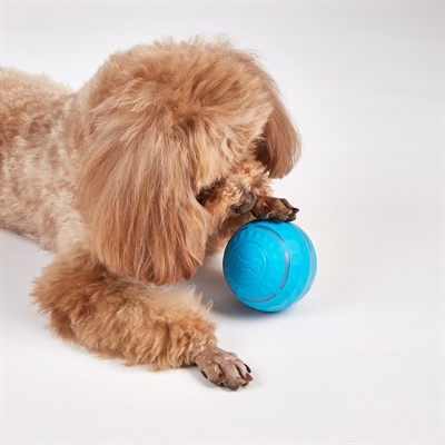 Fofos Fofos rol bal oplaadbaar voor honden Fofos Fofos rol bal oplaadbaar voor honden