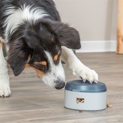 Trixie Trixie dog activity buzzer kunststof Trixie Trixie dog activity buzzer kunststof