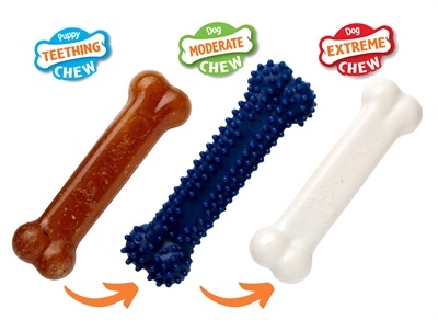 Nylabone Nylabone puppy chew puppy starter kit chicken