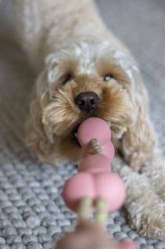 Rosewood Rosewood tough twist rubber met touw bbq smaak Rosewood Rosewood tough twist rubber met touw bbq smaak