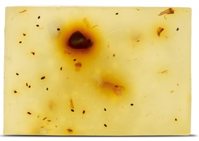 Beloved Beloved vegan pet shampoo bar Beloved Beloved vegan pet shampoo bar