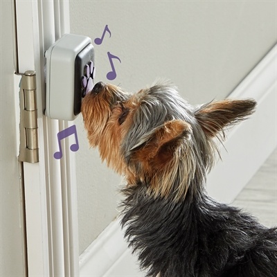 Hunger for words Hunger for words talking pet doorbell Hunger for words Hunger for words talking pet doorbell