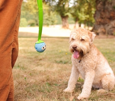 Chuckit Chuckit the whistler