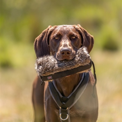 Trixie Trixie snackdummy kunstvacht Trixie Trixie snackdummy kunstvacht