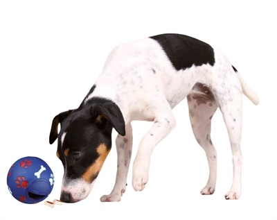 Trixie Trixie snackbal kunststof blauw Trixie Trixie snackbal kunststof blauw