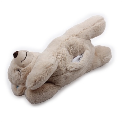 Afp Afp little buddy warm bear Afp Afp little buddy warm bear