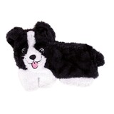 Fofos Fofos puppy home bordercollie Fofos Fofos puppy home bordercollie
