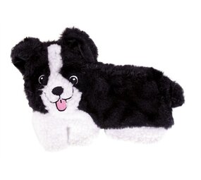 Fofos Fofos puppy home bordercollie Fofos Fofos puppy home bordercollie