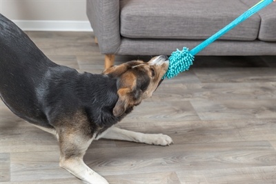 Trixie Trixie bungee dummy polyester petrol Trixie Trixie bungee dummy polyester petrol