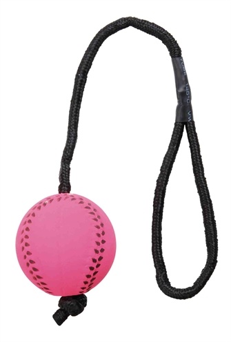 Trixie Trixie sportbal aan touw schuimrubber drijvend assorti Trixie Trixie sportbal aan touw schuimrubber drijvend assorti