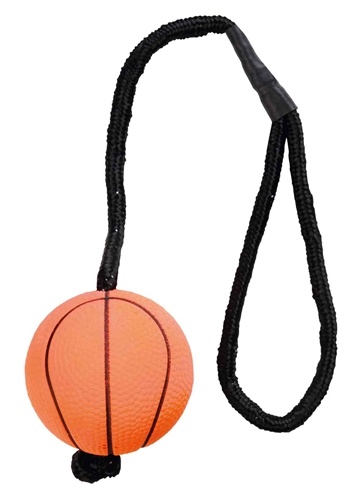Trixie Trixie sportbal aan touw schuimrubber drijvend assorti Trixie Trixie sportbal aan touw schuimrubber drijvend assorti