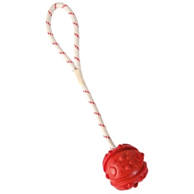 Trixie Trixie bal aan touw natuurrubber drijvend assorti Trixie Trixie bal aan touw natuurrubber drijvend assorti