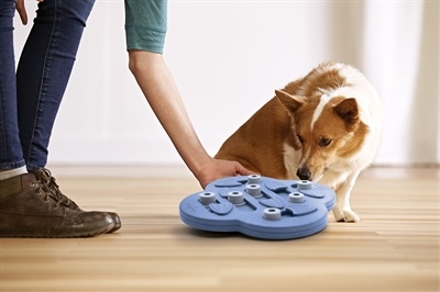 Nina ottosson Nina ottosson dog hide n slide composiet