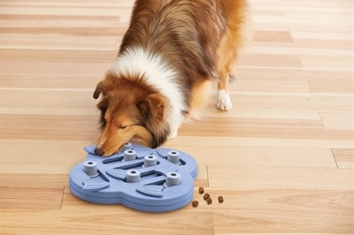 Nina ottosson Nina ottosson dog hide n slide composiet