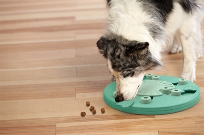 Nina ottosson Nina ottosson dog worker composiet Nina ottosson Nina ottosson dog worker composiet