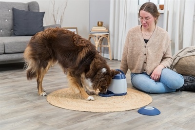 Trixie Trixie dog activity memory trainer 3.0 Trixie Trixie dog activity memory trainer 3.0
