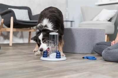 Trixie Trixie dog activity gambling tower Trixie Trixie dog activity gambling tower