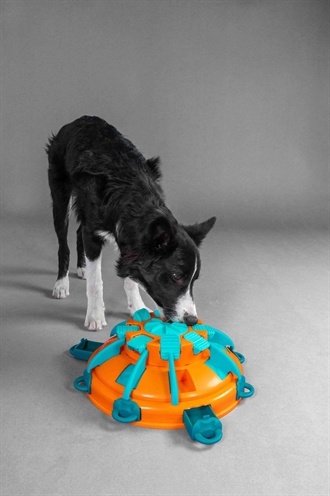 Nina ottosson Nina ottosson tower of treats oranje / blauw Nina ottosson Nina ottosson tower of treats oranje / blauw