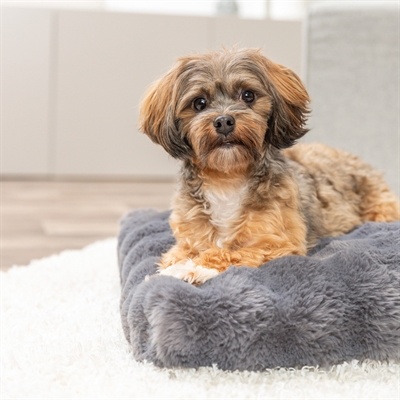 Trixie Trixie hondenkussen elli donkergrijs Trixie Trixie hondenkussen elli donkergrijs