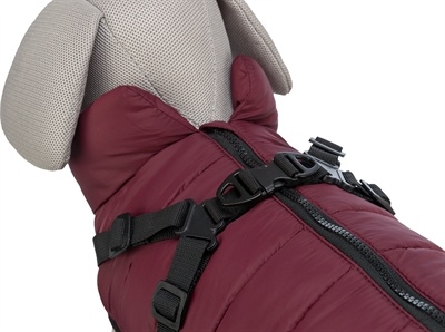 Trixie Trixie hondenjas pirou met tuig sangria