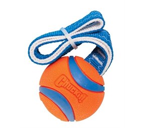 Chuckit Chuckit ultra tug