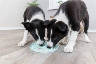 Trixie Trixie junior likplaat mintgroen Trixie Trixie junior likplaat mintgroen