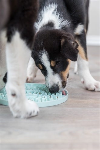 Trixie Trixie junior likplaat mintgroen Trixie Trixie junior likplaat mintgroen