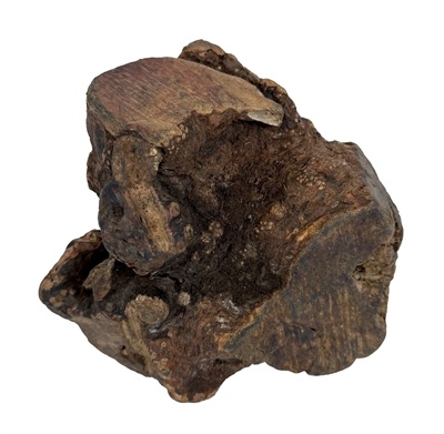 Dog woodzzz Dog woodzzz kauwwortel met olijfolie