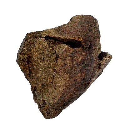 Dog woodzzz Dog woodzzz kauwwortel met olijfolie