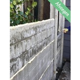 Beton schutting Slate