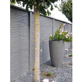 Beton schutting Slate