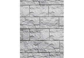 Beton schutting Casa Borsica