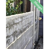 Beton schutting Borsa