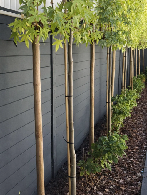 Beton schutting - Enkelzijdig - 192 cm hoog