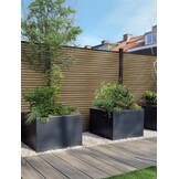 Triple Rhombus Oak & Black Co-ex 026752