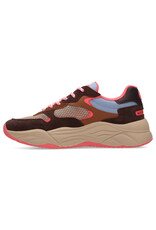 Scotch & Soda Scotch & Soda Celest - Dark Brown Multi