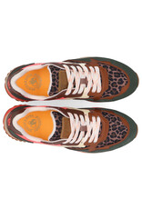 Scotch & Soda Scotch & Soda Vivi - Leopard Multi