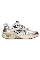 Maruti Maruti Riva Leather - Gold