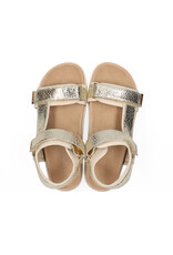 Maruti Maruti Beau Leather - Gold