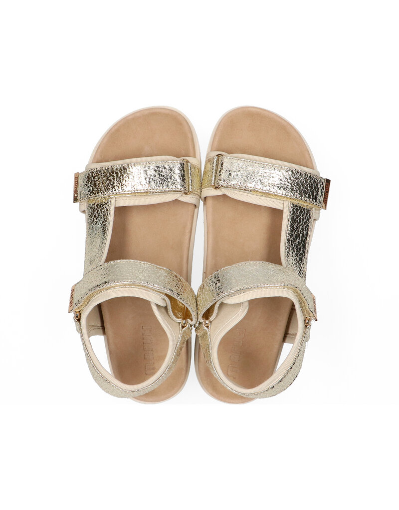 Maruti Maruti Beau Leather - Gold