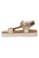 Maruti Maruti Beau Leather - Gold