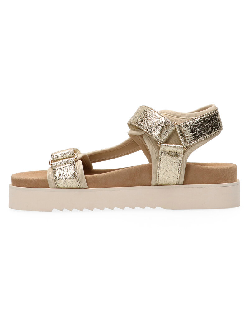 Maruti Maruti Beau Leather - Gold