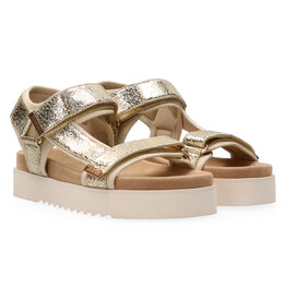 Maruti Maruti Beau Leather - Gold