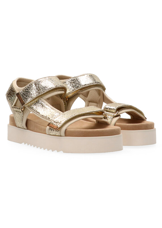 Maruti Maruti Beau Leather - Gold