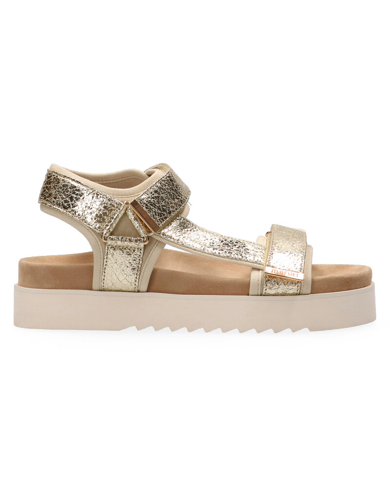 Maruti Maruti Beau Leather - Gold