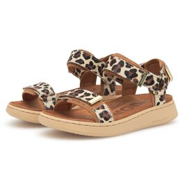 Woden Woden Line Animal - Leopard