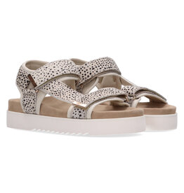 Maruti Maruti Beau Hairon Pixel - Offwhite Black