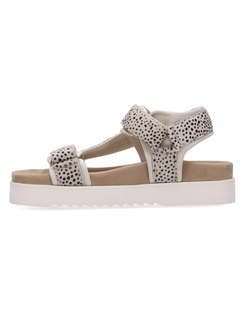 Maruti Maruti Beau Hairon Pixel - Offwhite Black