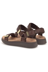 Woden Woden Line Fish - Chocolate